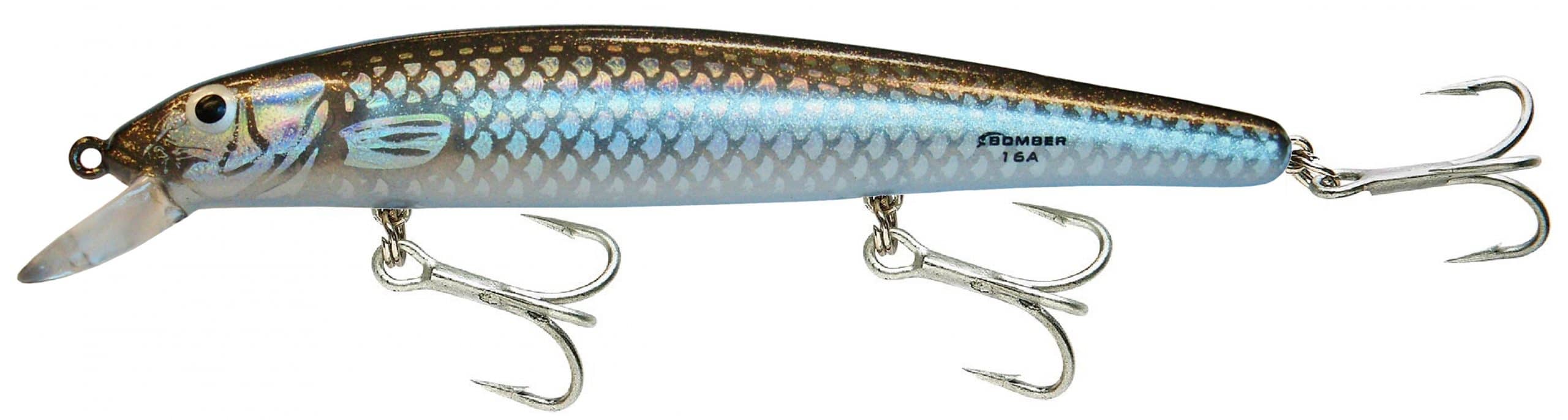 Bomber Magnum Long 17a 17 a Floating Diving Striper Surf Lure School Bus  XYBS 