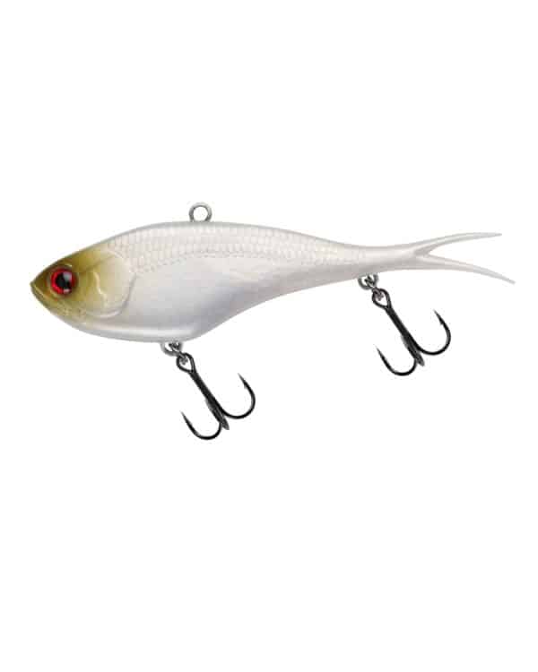KILLALURE TROPIC LOLLY - Image 6