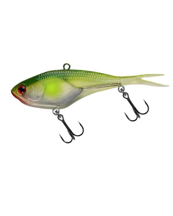 KILLALURE TROPIC LOLLY - Image 7