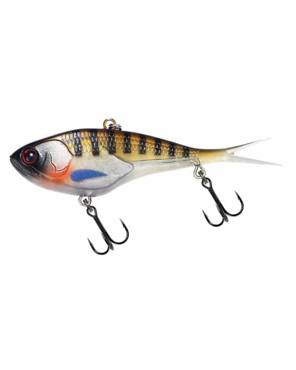 KILLALURE TROPIC LOLLY - Image 11