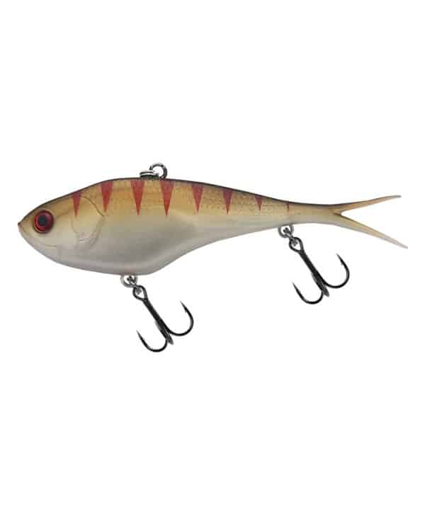 KILLALURE TROPIC LOLLY - Image 16