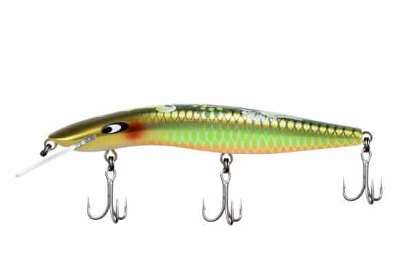 CLASSIC 120 INDIGENOUS RANGE - Image 2