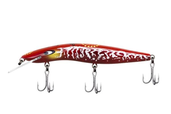CLASSIC 120 INDIGENOUS RANGE - Image 4