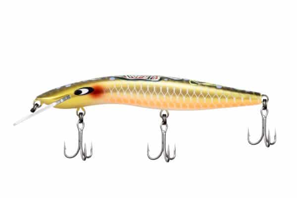 CLASSIC 120 INDIGENOUS RANGE - Image 10