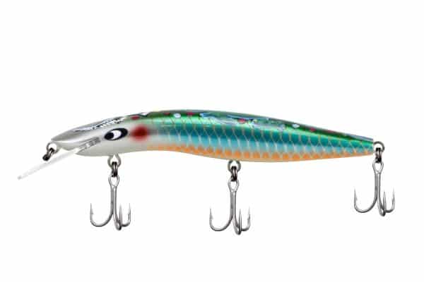 CLASSIC 120 INDIGENOUS RANGE - Image 12